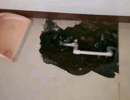 滨湖卫生间测漏水多少钱